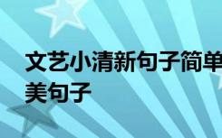 文艺小清新句子简单心情说说 文艺小清新唯美句子