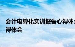 会计电算化实训报告心得体会500字 会计电算化实训报告心得体会