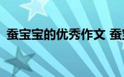 蚕宝宝的优秀作文 蚕宝宝的一生作文500字