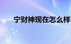 宁财神现在怎么样了 宁财神个人简历