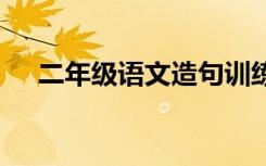 二年级语文造句训练题 造句一年级下册