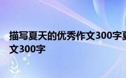 描写夏天的优秀作文300字夏天景色描图 描写夏天的优秀作文300字