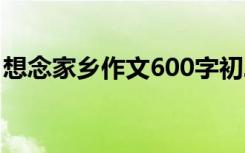 想念家乡作文600字初二 想念家乡作文400字