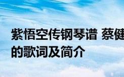 紫悟空传钢琴谱 蔡健雅《悟空传》插曲《紫》的歌词及简介