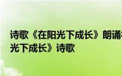 诗歌《在阳光下成长》朗诵视频初中 单人3分钟朗诵《在阳光下成长》诗歌