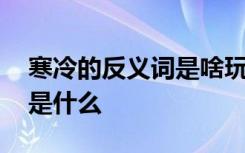 寒冷的反义词是啥玩意儿 寒冷一词的反义词是什么