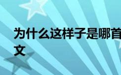 为什么这样子是哪首歌 为什么这样子优秀作文