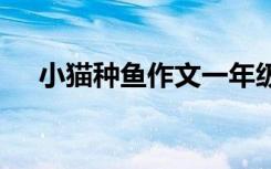 小猫种鱼作文一年级下册 小猫种鱼作文