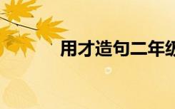 用才造句二年级 用”才“造句