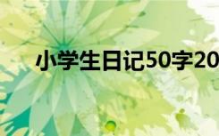 小学生日记50字20篇 小学生日记50字