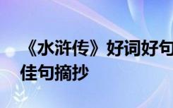 《水浒传》好词好句子摘抄 《水浒传》好词佳句摘抄