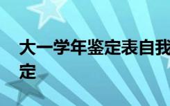 大一学年鉴定表自我鉴定 学年鉴定表自我鉴定