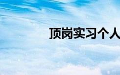 顶岗实习个人实习情况总结