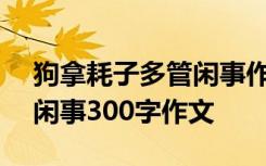 狗拿耗子多管闲事作文100字 狗拿耗子多管闲事300字作文