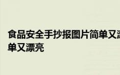 食品安全手抄报图片简单又漂亮大全 食品安全手抄报图片简单又漂亮