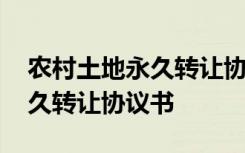 农村土地永久转让协议书怎么写 农村土地永久转让协议书