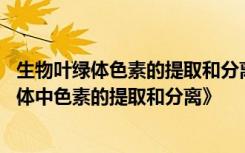 生物叶绿体色素的提取和分离实验视频 生物实验报告《叶绿体中色素的提取和分离》