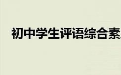 初中学生评语综合素质评价 初中学生评语