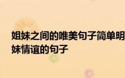 姐妹之间的唯美句子简单明了 姐妹之间的唯美句子 表达姐妹情谊的句子