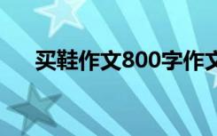 买鞋作文800字作文 买鞋子作文600字