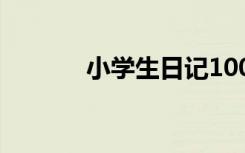 小学生日记100字 小学生日记