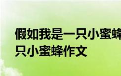 假如我是一只小蜜蜂作文400字 假如我是一只小蜜蜂作文