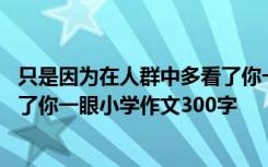 只是因为在人群中多看了你一眼英文 只是因为在人群中多看了你一眼小学作文300字