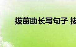 拔苗助长写句子 拔苗助长造句有哪些