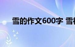 雪的作文600字 雪神的辞职作文650字