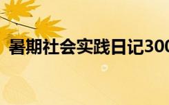 暑期社会实践日记300字 暑期社会实践日记