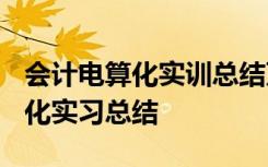 会计电算化实训总结万能版2000字 会计电算化实习总结