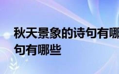 秋天景象的诗句有哪些四年级 秋天景象的诗句有哪些