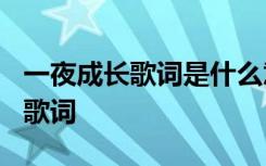 一夜成长歌词是什么意思 于文文《一夜成长》歌词