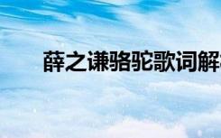 薛之谦骆驼歌词解析 薛之谦骆驼歌词