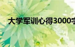 大学军训心得3000字文章 大学 军训心得