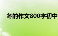 冬的作文800字初中作文 冬冬800字作文