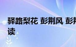 驿路梨花 彭荆风 彭荆风《驿路梨花》全文阅读