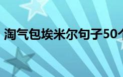 淘气包埃米尔句子50个字 淘气包埃米尔好句