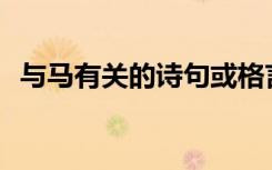 与马有关的诗句或格言 与马的文学作品「」