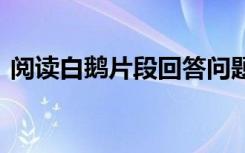 阅读白鹅片段回答问题 《白鹅》阅案读及答