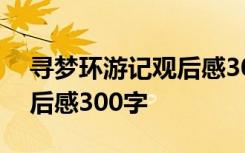 寻梦环游记观后感300字作文 寻梦环游记观后感300字