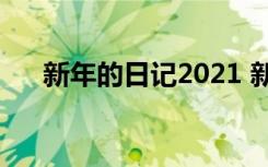 新年的日记2021 新年的优秀日记50字