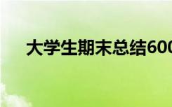 大学生期末总结600字 大学生期末总结