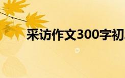 采访作文300字初二 采访作文300字