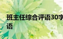 班主任综合评语30字左右高中 班主任综合评语