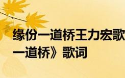 缘份一道桥王力宏歌曲 王力宏谭维维 《缘份一道桥》歌词