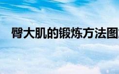 臀大肌的锻炼方法图解 臀大肌的锻炼方法