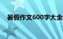 暑假作文600字大全初二 暑假作文600字