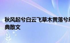 秋风起兮白云飞草木黄落兮雁南归翻译 秋风起兮白云飞的经典散文