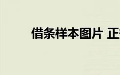 借条样本图片 正规 正确 借条样本